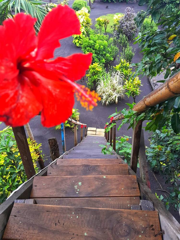 Tanna Volcano View Tree House