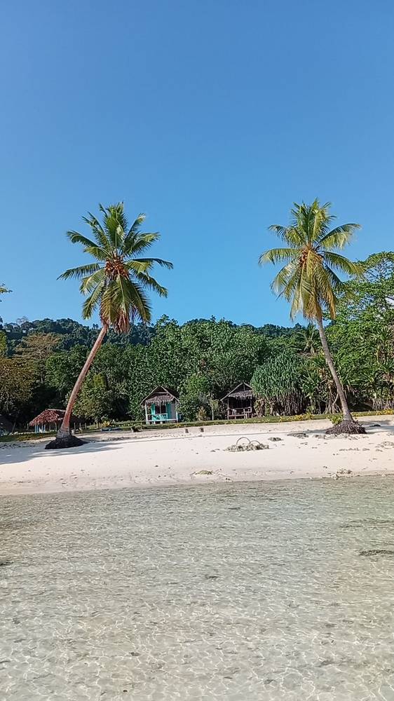 Bamboo Bungalows Lonnoc Beach