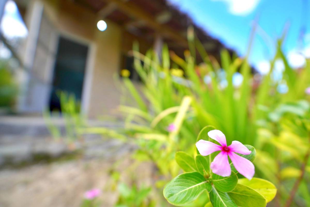 Apera Beach Bungalows