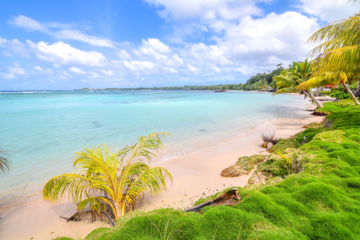 Come experience our beautiful beach in Savai'i