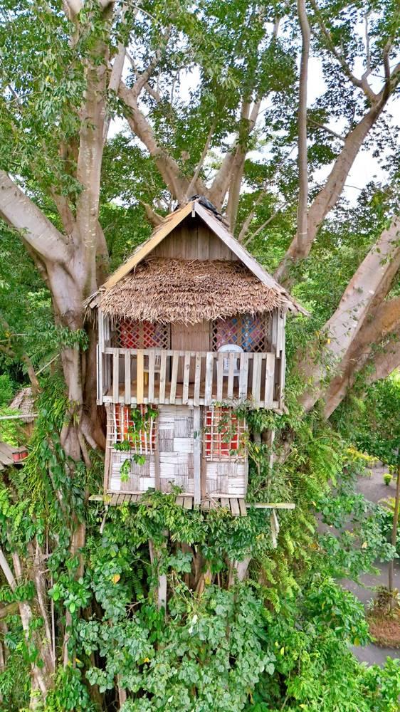 Glowing Mountain View Tree House