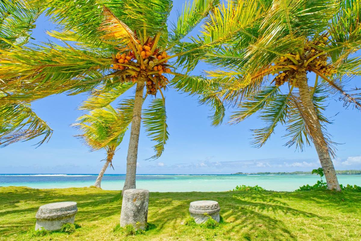 Beautiful grounds to relax in at Jane's Beach Fales