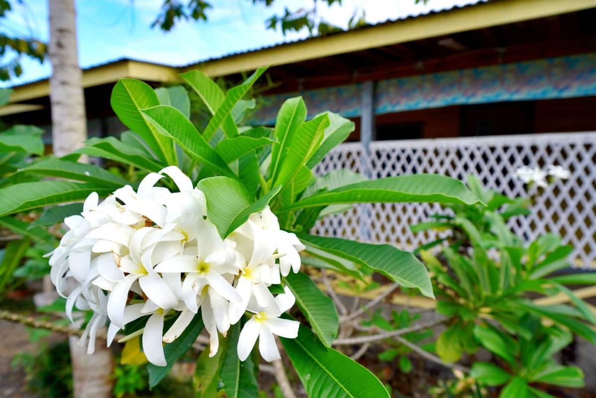 Livingstone Accommodation