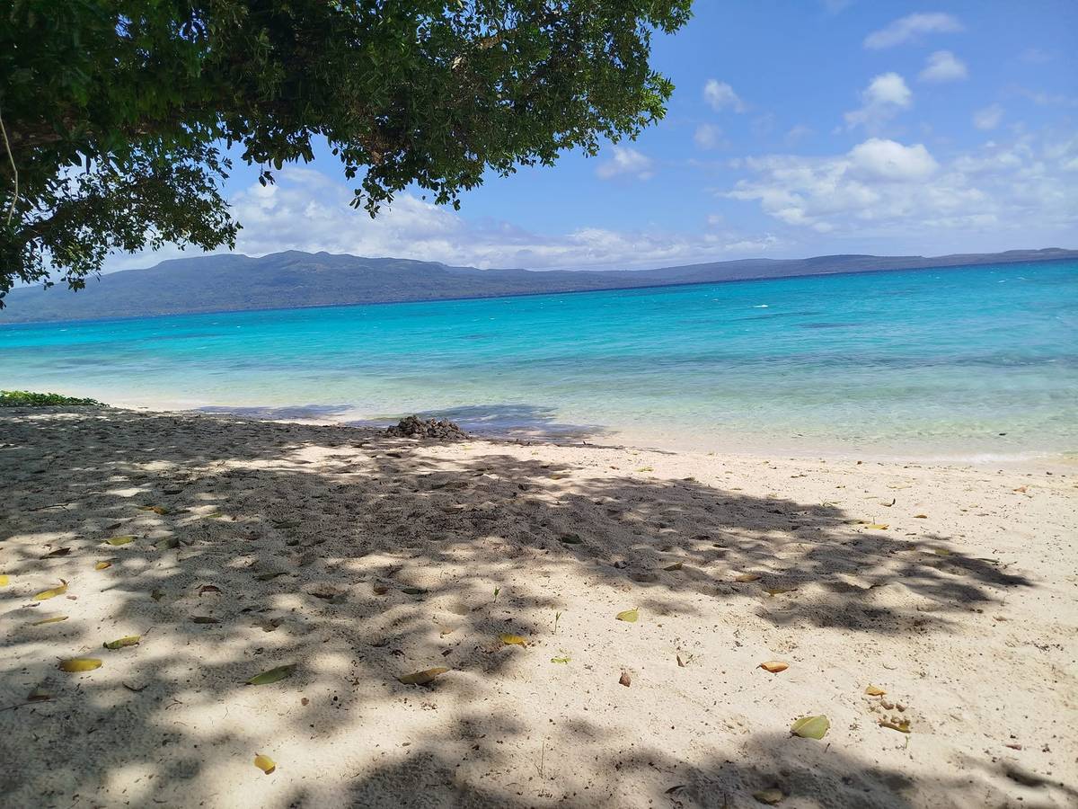 Naniu Pele Island Tours & Transfers