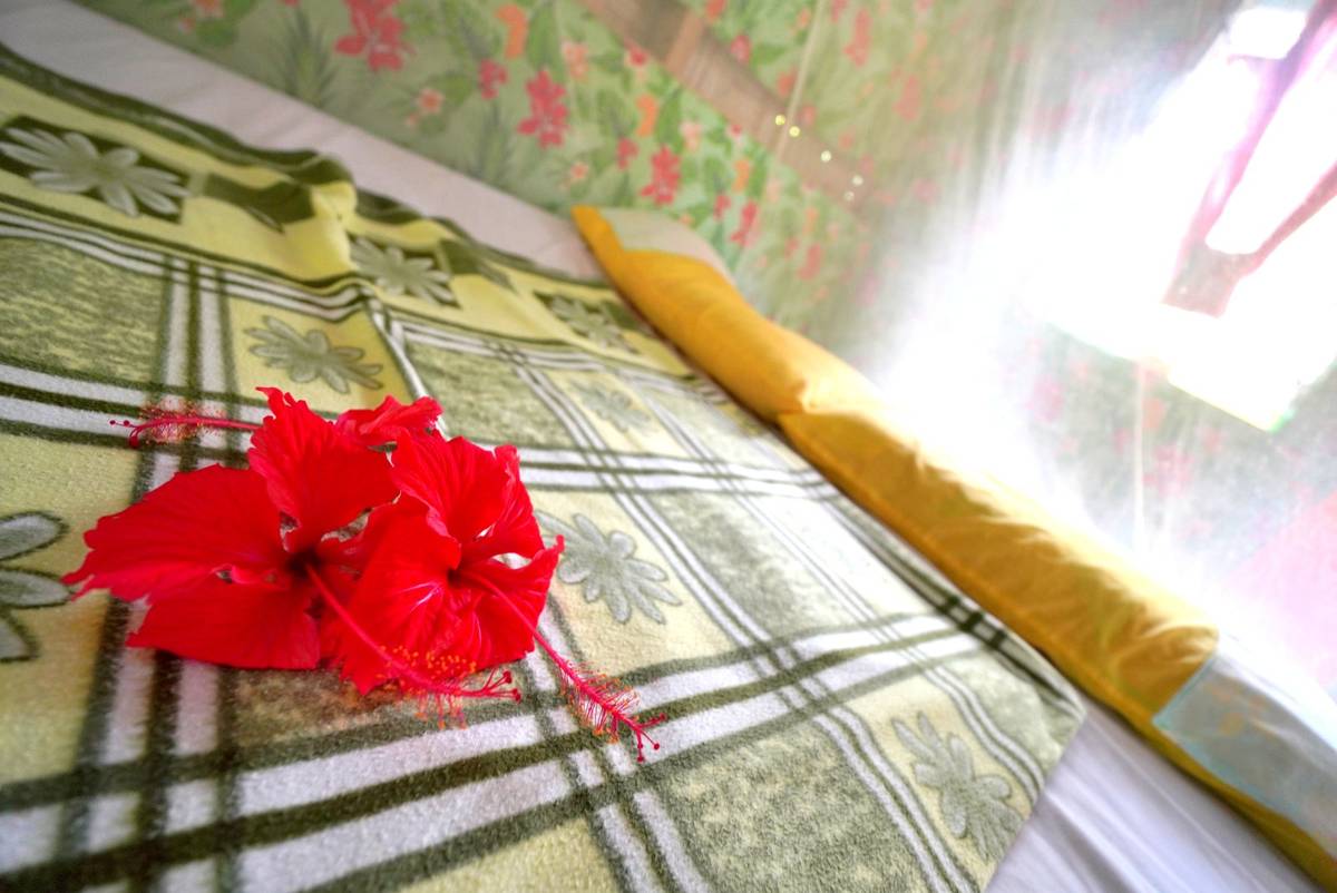 Pandanus Guest House