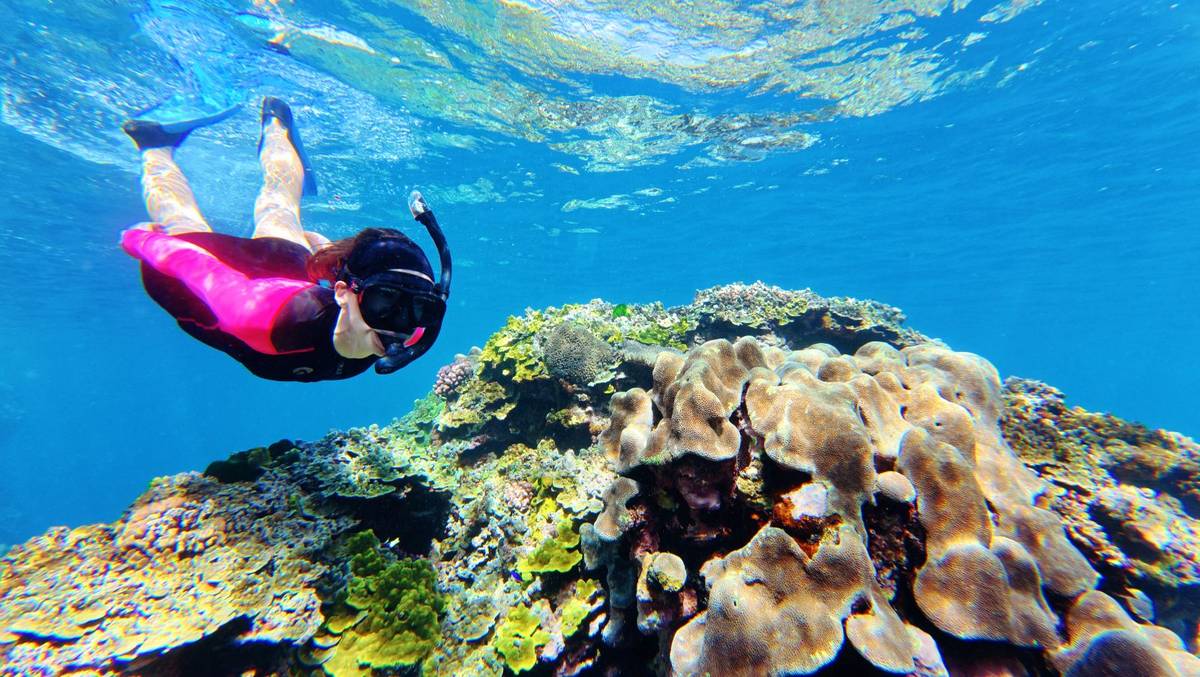 Tanna Evergreen Resort & Tours