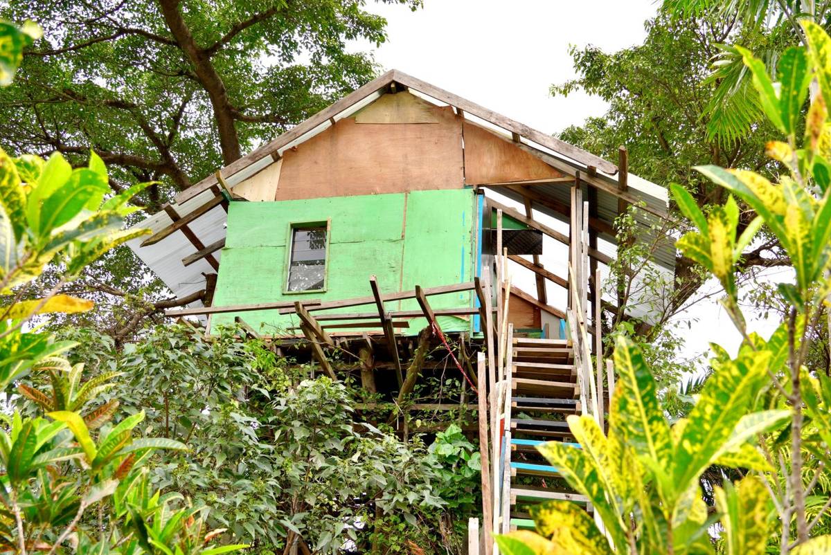 Tanna Volcano View Tree House