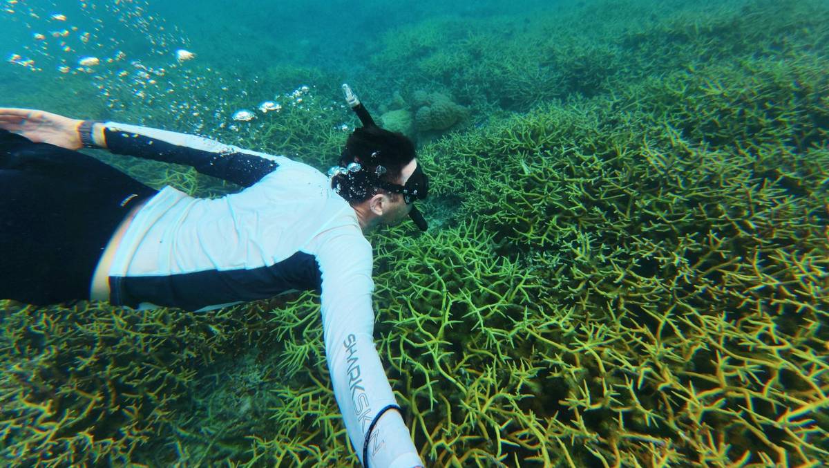 Snorkelling from Vaisala Hotel