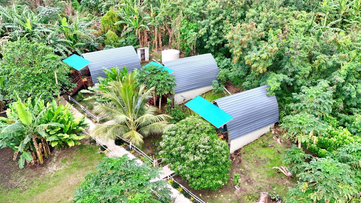 Fortunate Lodge in Vanuatu