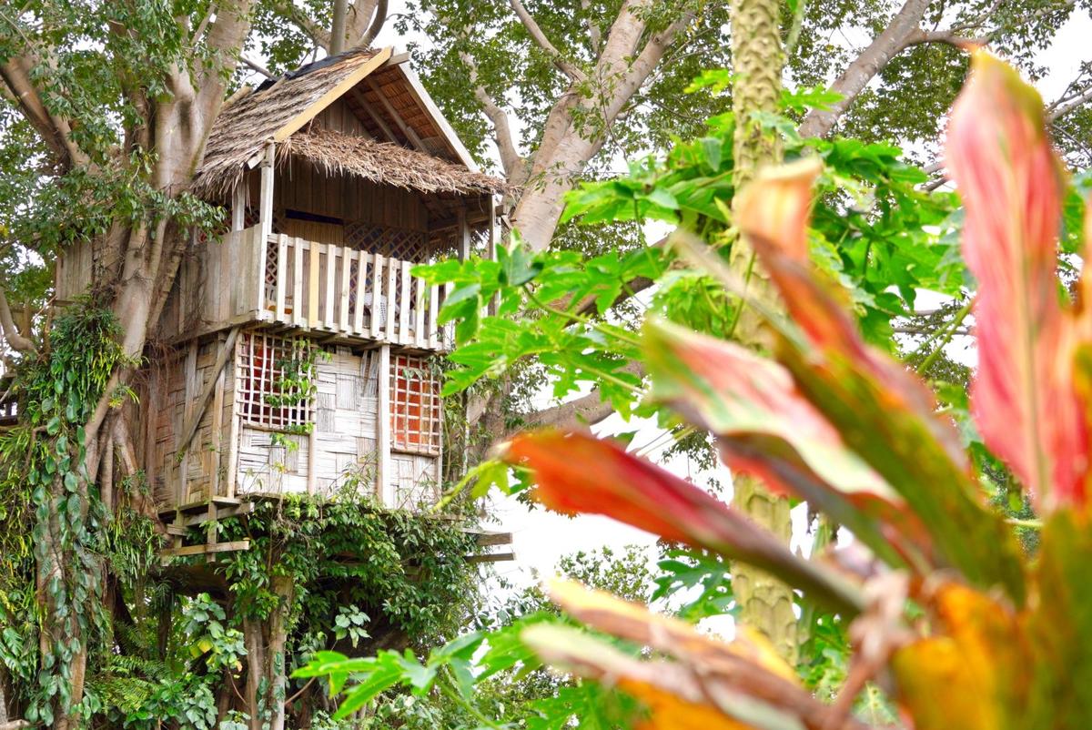 Glowing Mountain View Tree House in Vanuatu