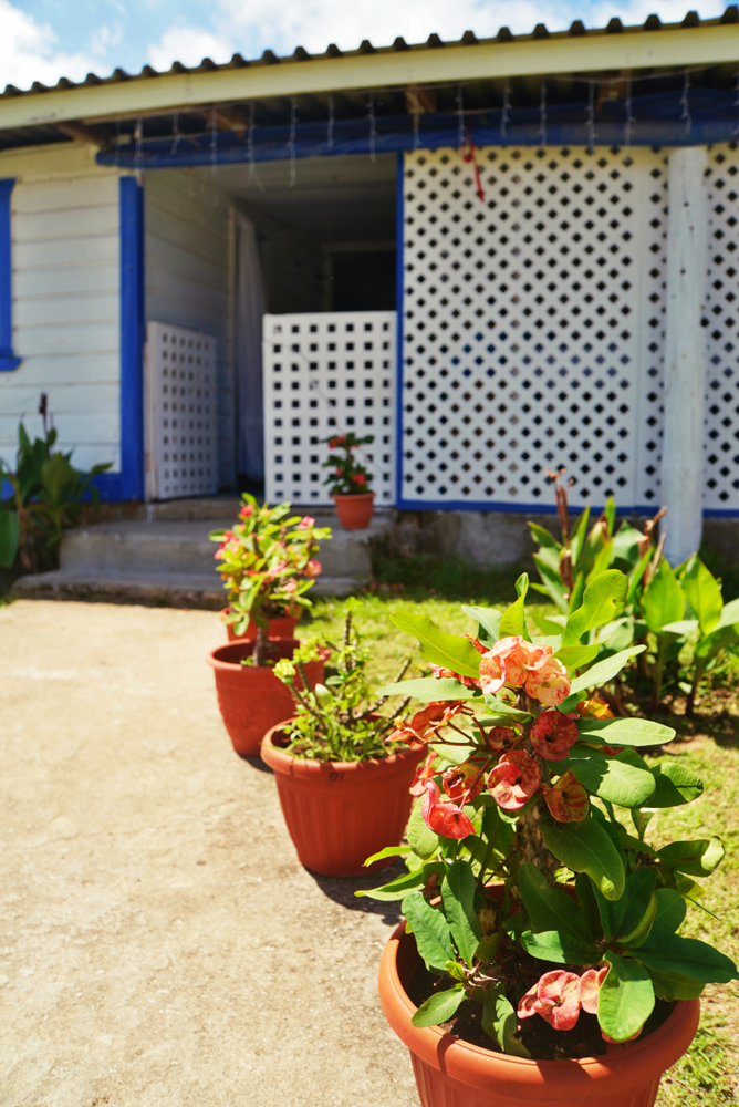 Siola Pakiola Guesthouse in Tonga