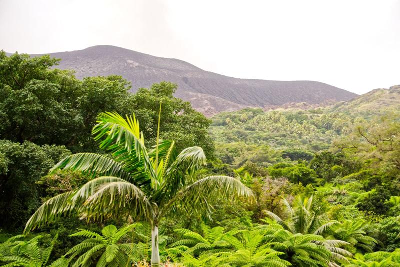 Tanna Volcano View Tree House