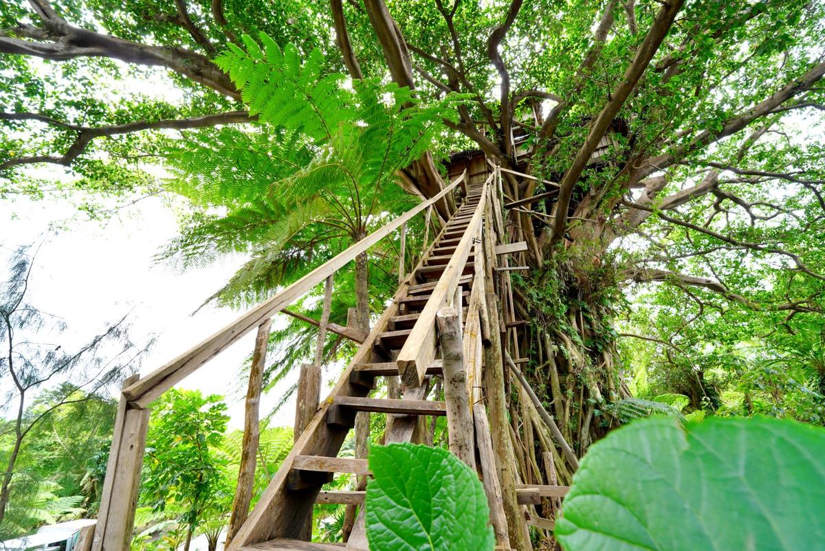 Yasur Backpackers Treehouses in Vanuatu