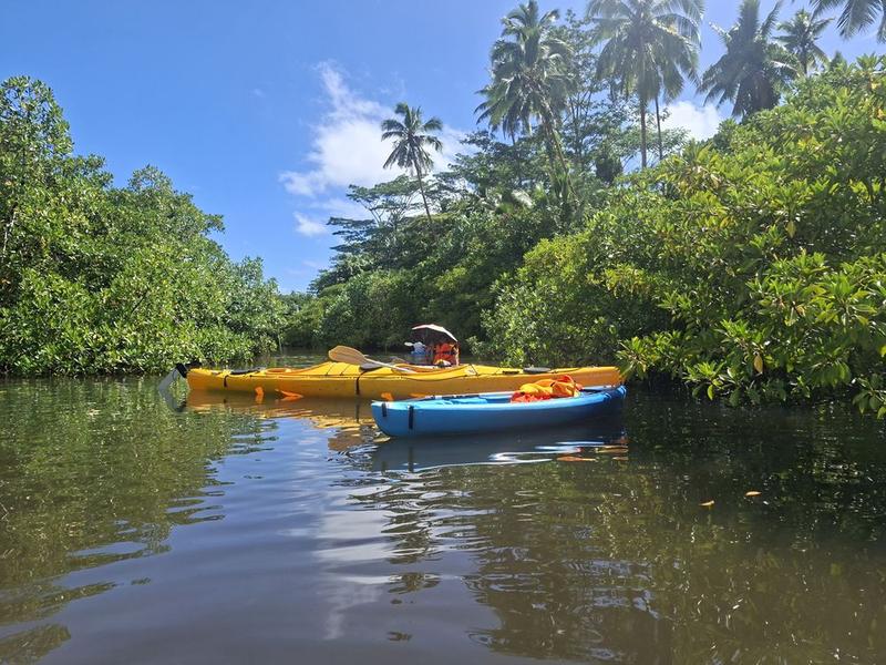 Sataoa Beach Fale
