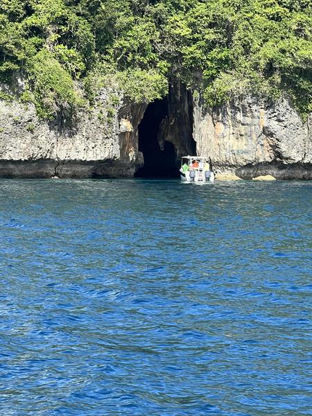 Vaka and Moana Co.