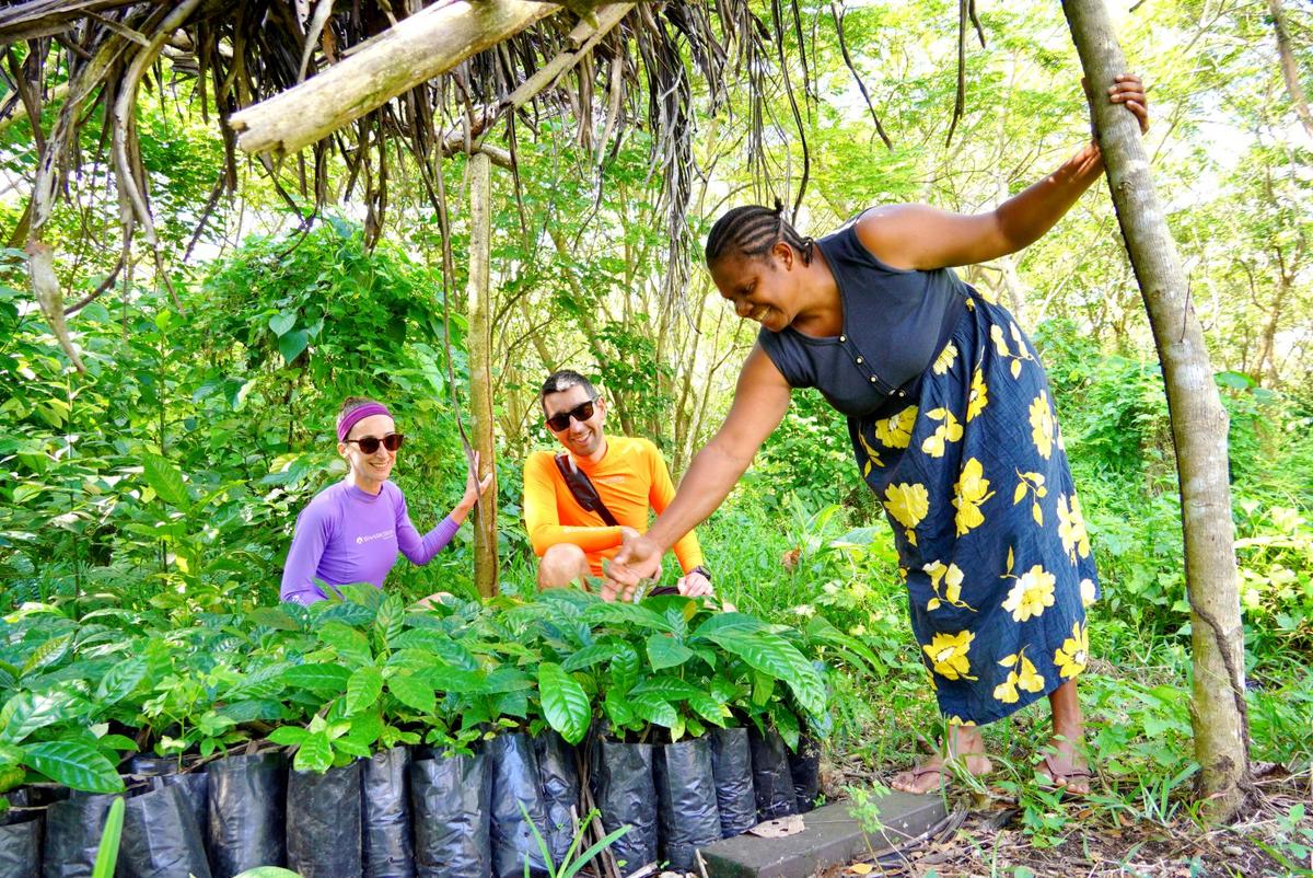 Aore Coffee Producers Tour in Vanuatu
