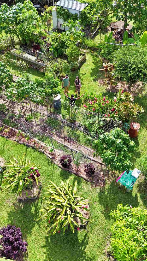 Arataki Organic Garden Tours in Cook Islands