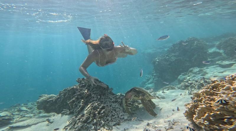 Green Turtle Tours