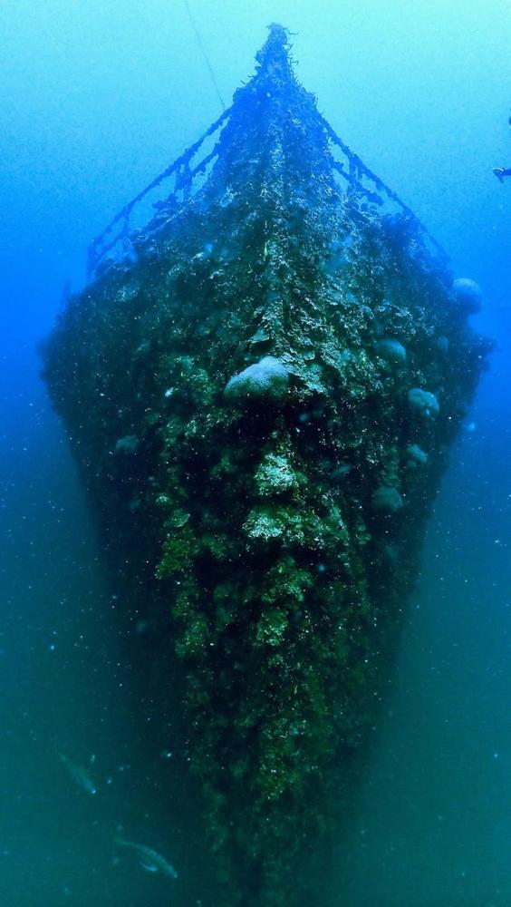 AX-Factor Dive in Tonga