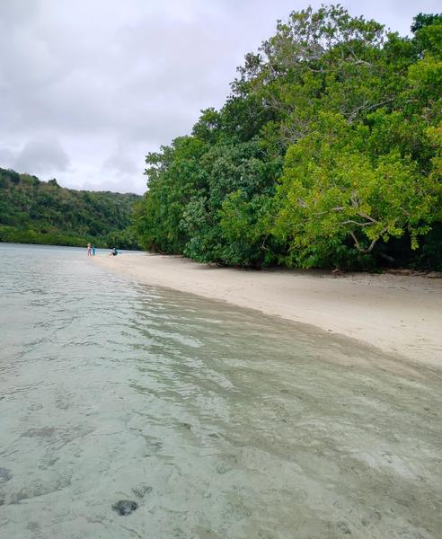 Moso Dream Eco Tours & Transfers