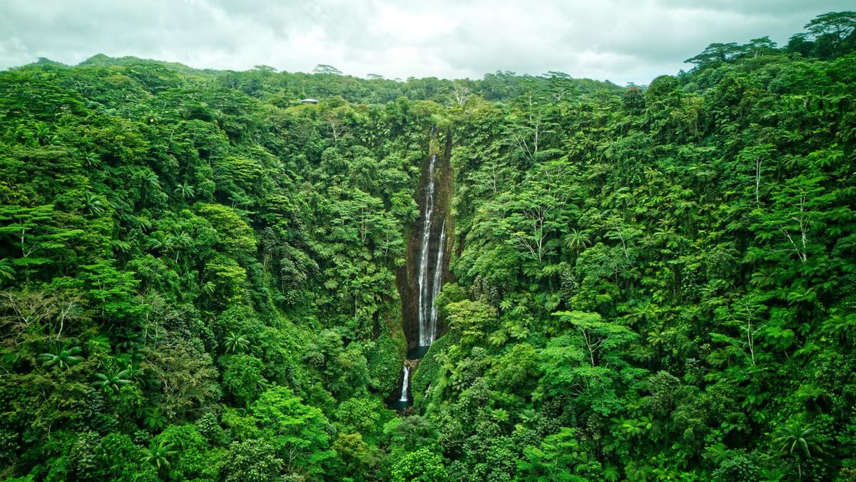 Gray Island Tour in Samoa