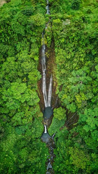 Adventour Samoa
