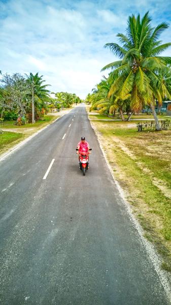 Rino's Beach Bungalows & Rentals