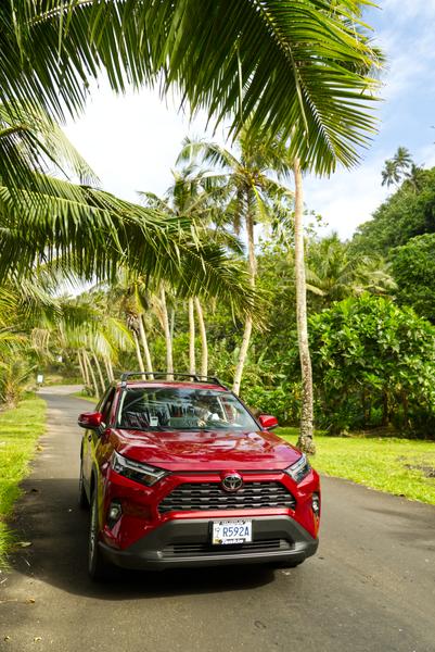 Worldwide Car Rental