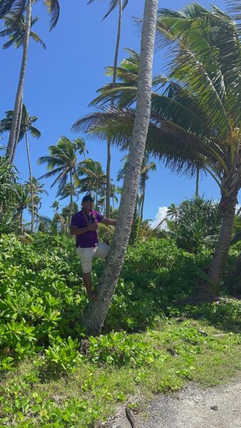 Golden Eco Tours in Samoa