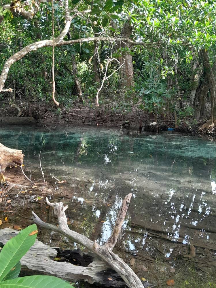 Eton Stream