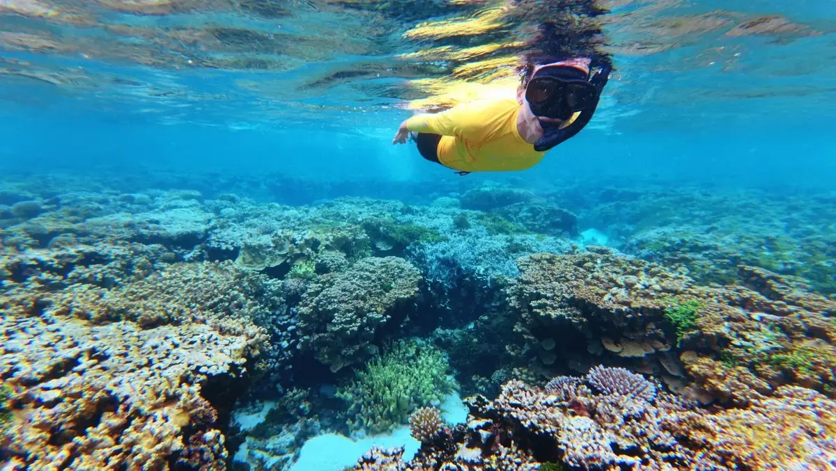 Snorkelling at Eneko Island in Majuro