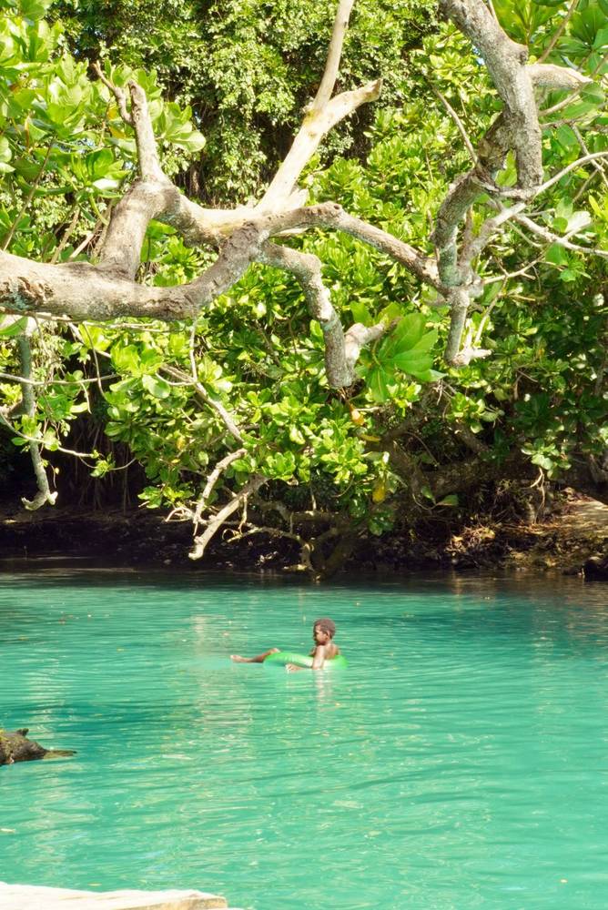 Eton Natural Pool