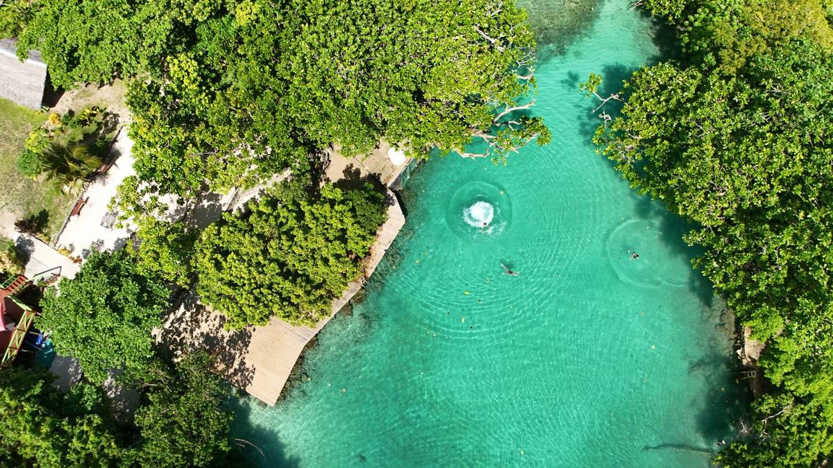 Eton Natural Pool