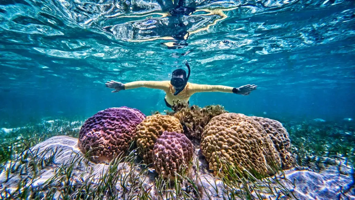 Laura Beach Snorkelling