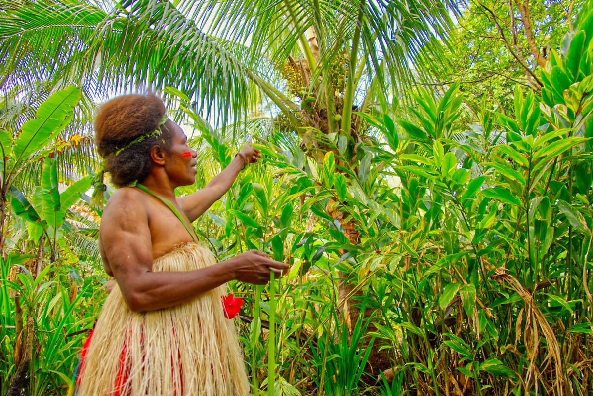 Lowinio Cultural Village Tanna