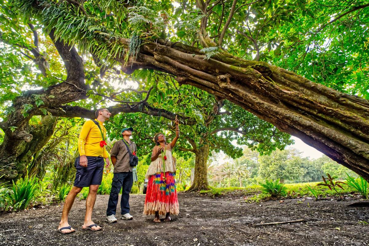 Lowinio Cultural Village Tanna