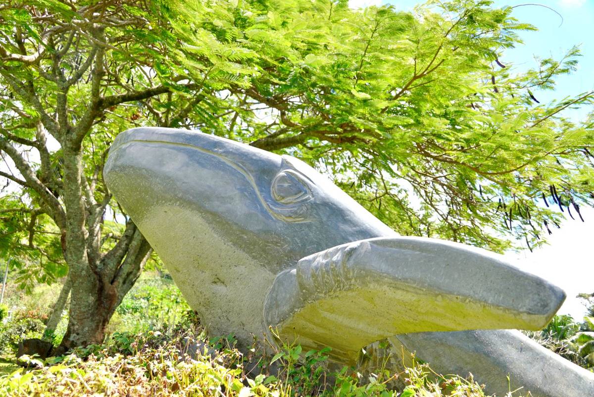 Manongi Sculpture Garden