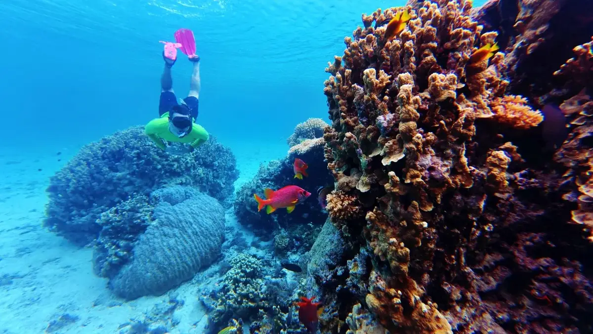 Snorkelling at the Marine Reserve at Bokanbotin Island in Majuro