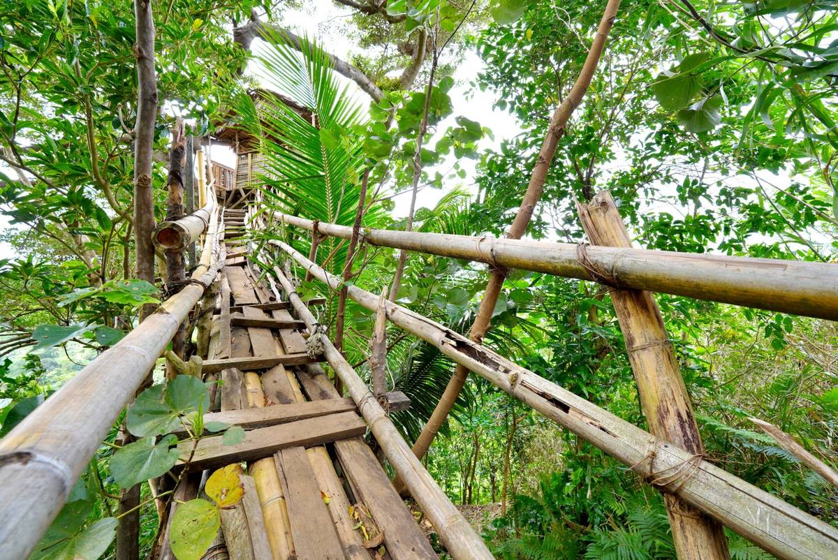 Tree House in Yakel Village