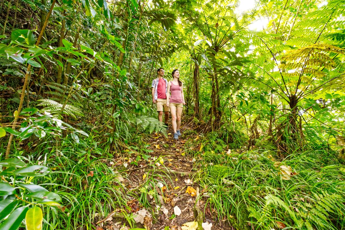 Fatifati Auala Trail