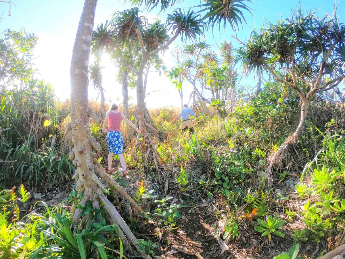 Summit of Niuatoputapu