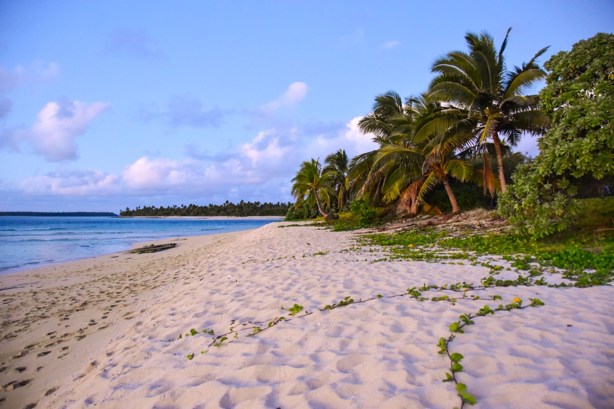 Houmale’eia Beach Petroglyphs