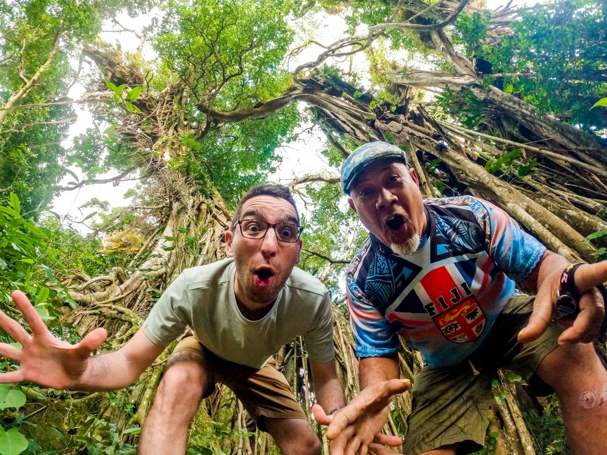 Big ‘Ovava Tree #2