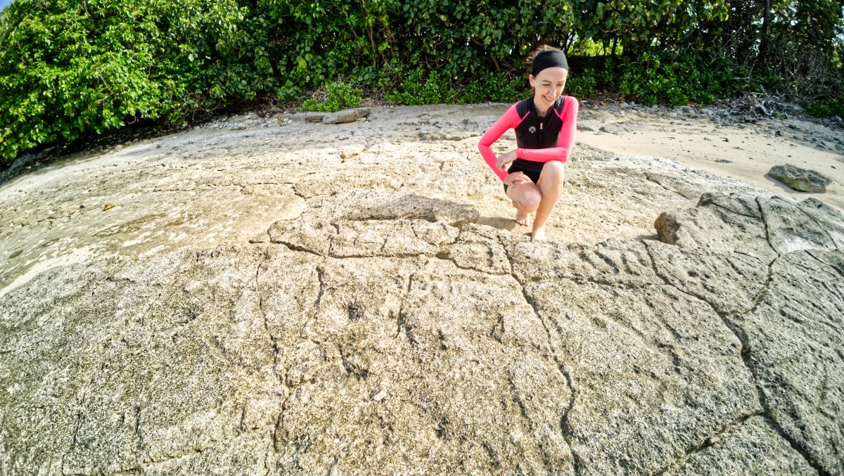 Houmale’eia Beach Petroglyphs