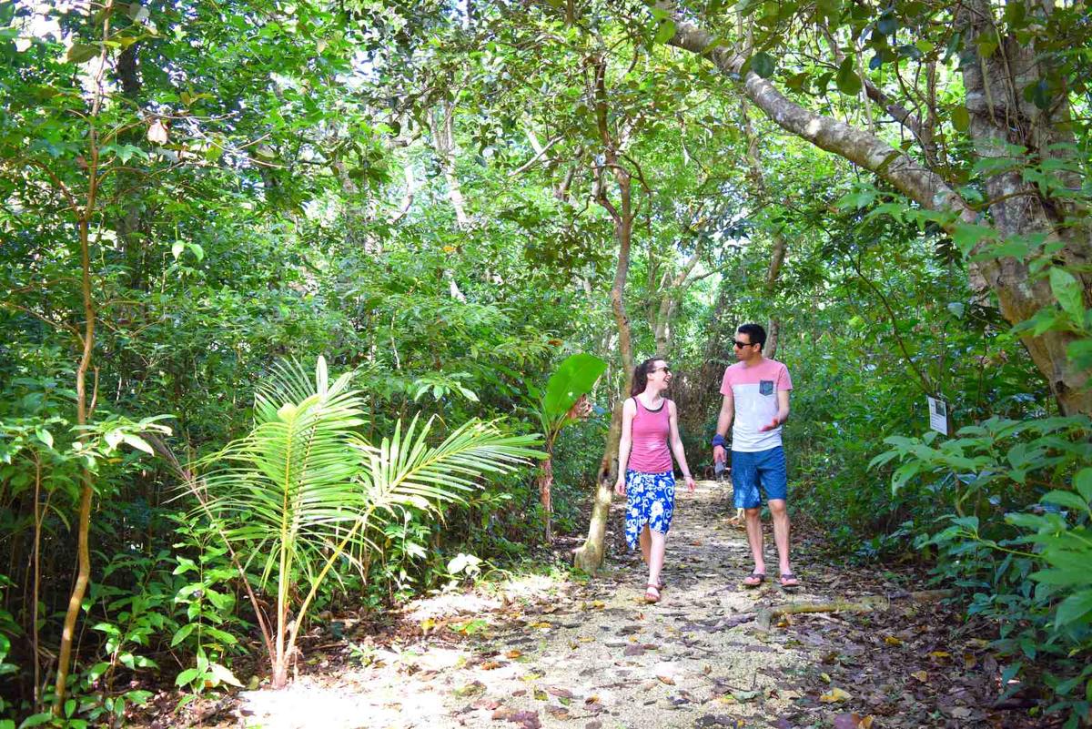 Toloa Rainforest Reserve