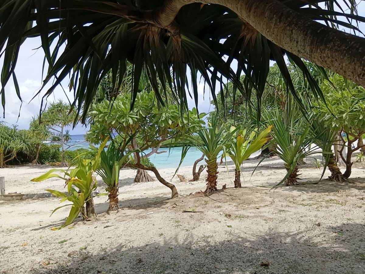 Cafelery Beach Entry Fee