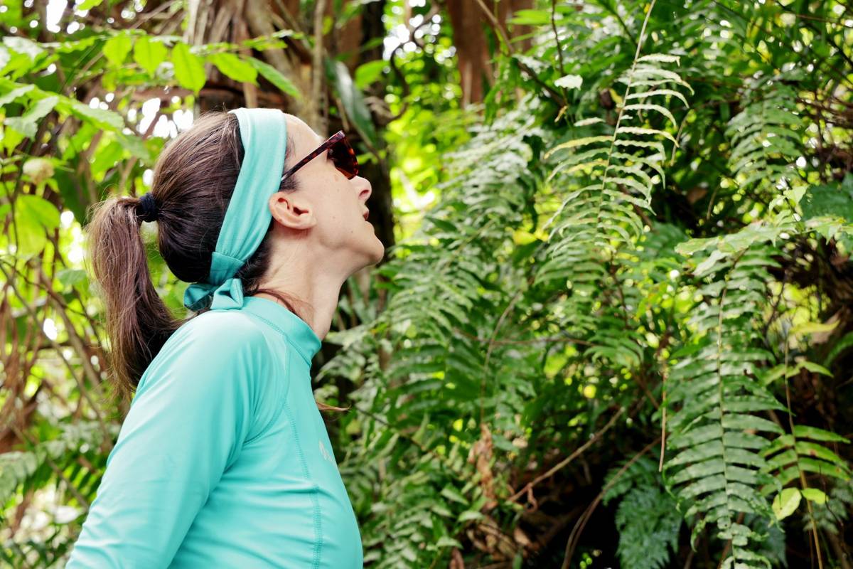 Matevulu Bush Walk