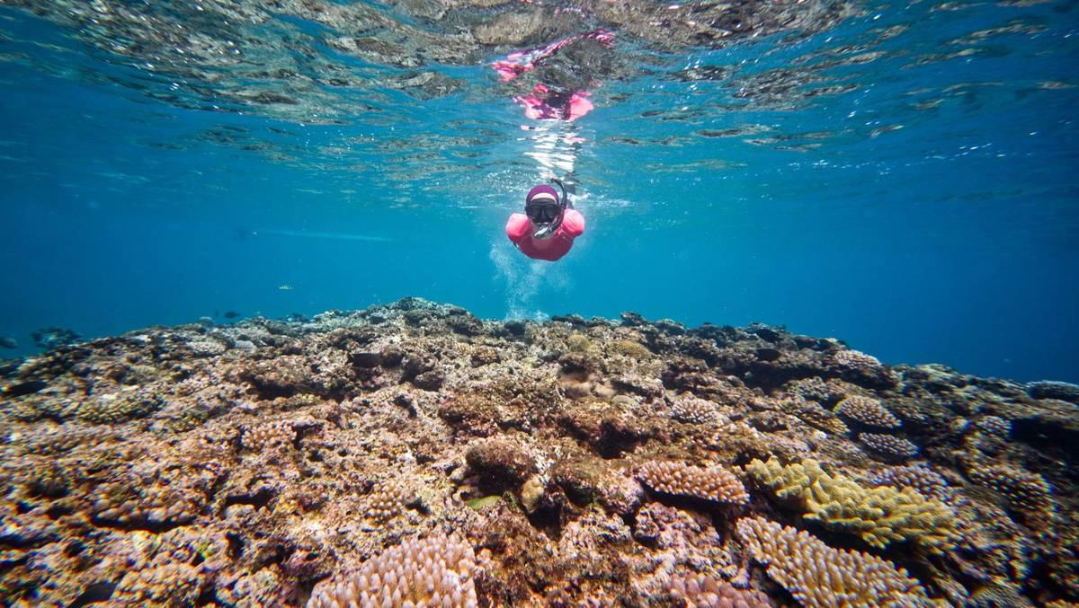 Snorkel Tour to Malon Island