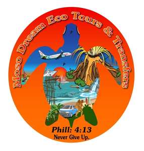 Logo for Moso Dream Eco Tours & Transfers