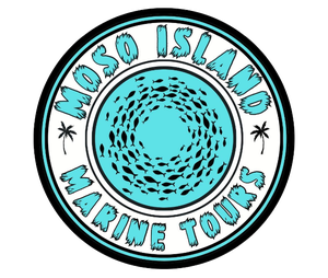 Logo for Moso Marine Tours